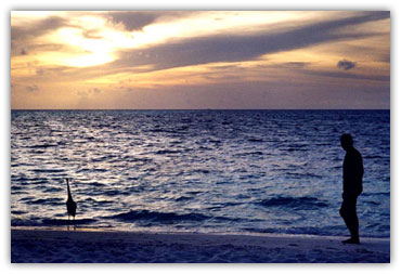 450_maldive.jpg